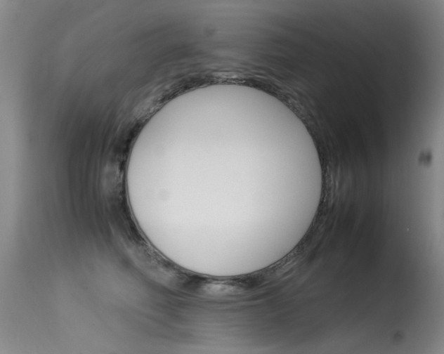 X0000115540614200911061151