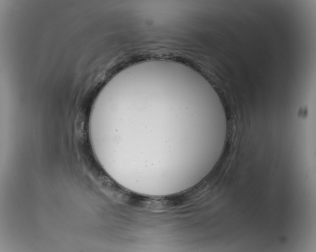 X0000115540615200911061151