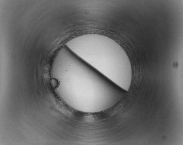 X0000115540616200911061151