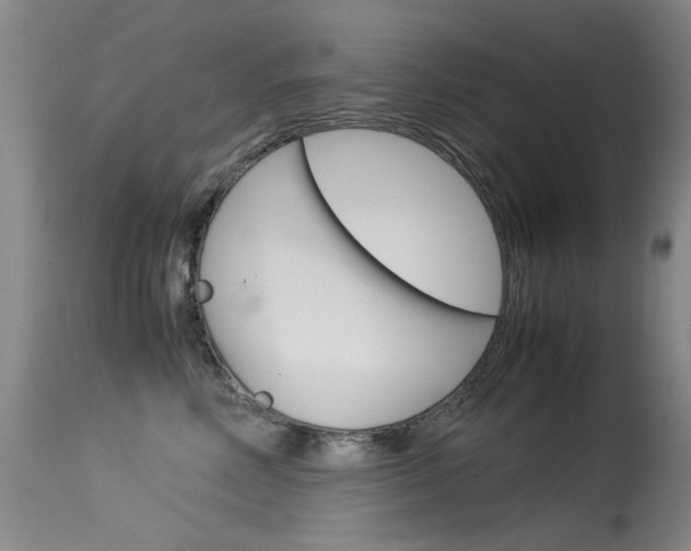 X0000115540618200911061151