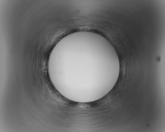 X0000115540619200911061151