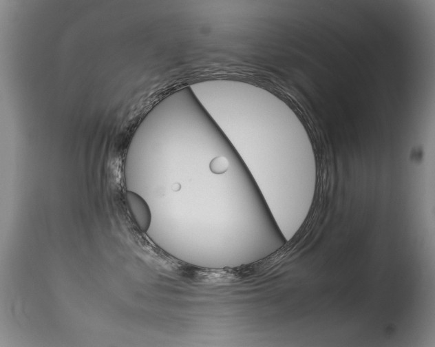 X0000115540621200911061151