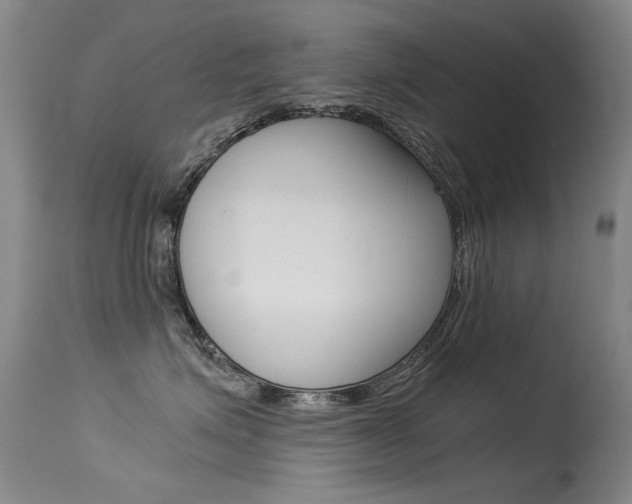 X0000115540623200911061151