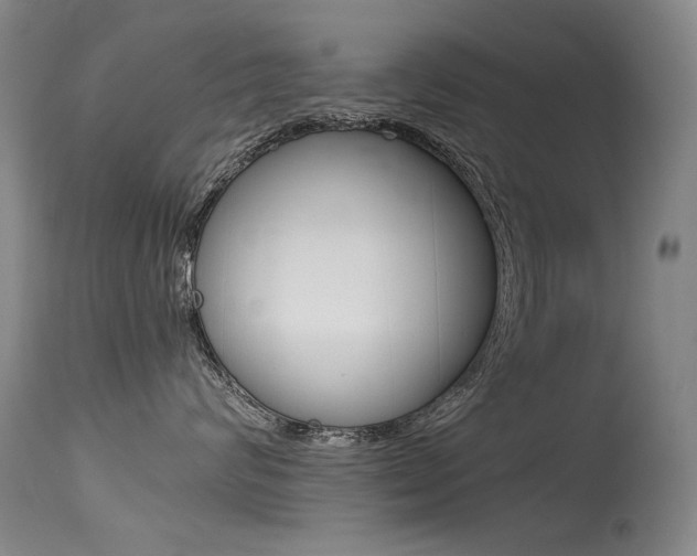 X0000115540624200911061151