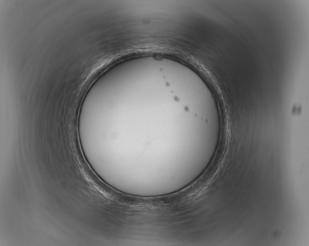 X0000115540625200911061151