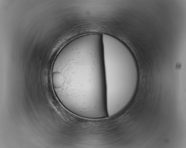 X0000115540626200911061151