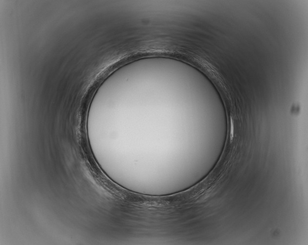 X0000115540627200911061151