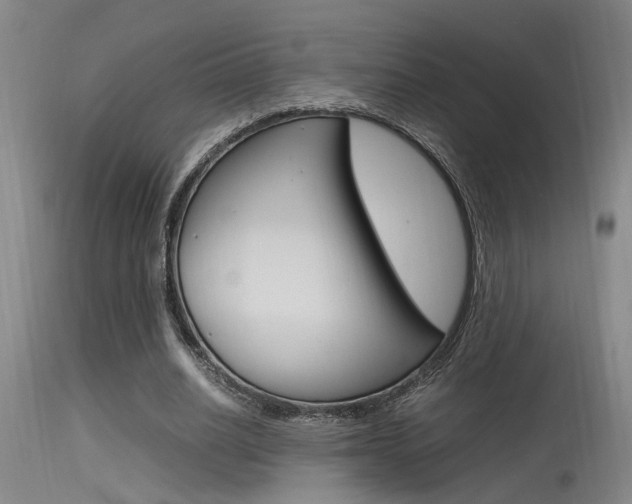 X0000115540630200911061151