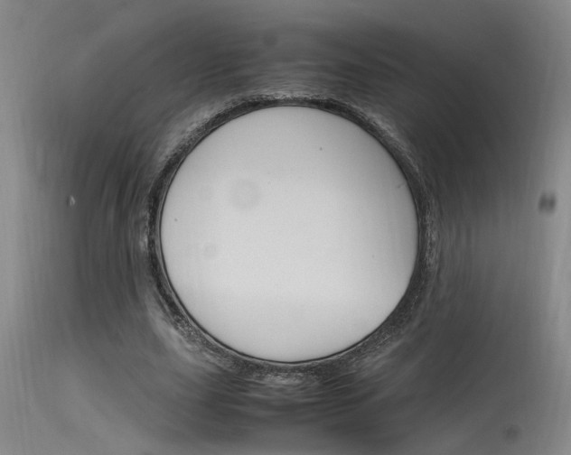 X0000115540631200911061151