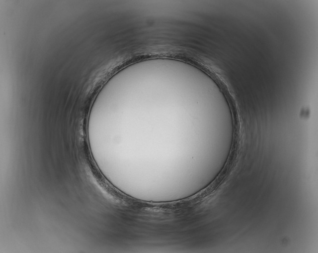 X0000115540633200911061151