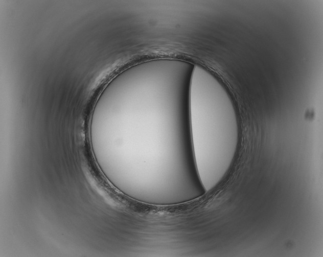 X0000115540634200911061151