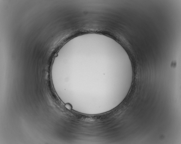 X0000115540635200911061151
