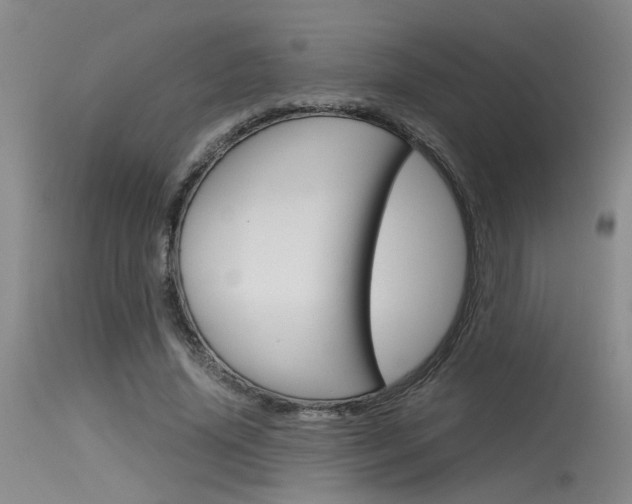 X0000115540636200911061151