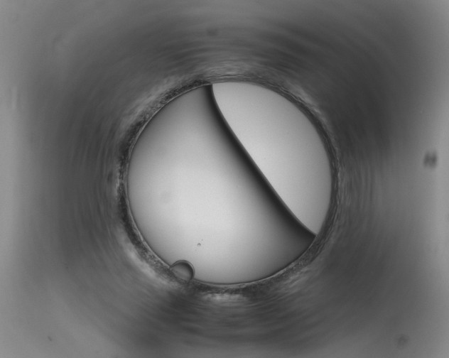 X0000115540637200911061151