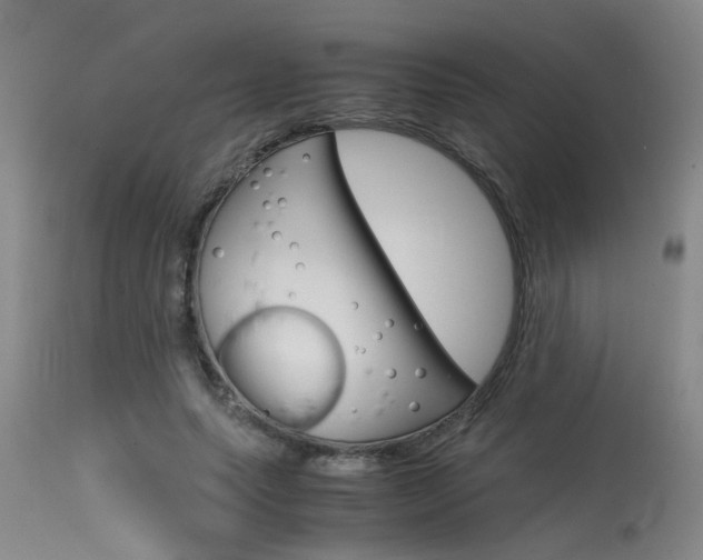 X0000115540639200911061151