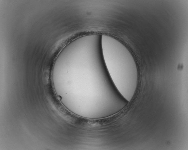 X0000115540640200911061151