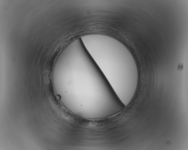X0000115540641200911061151