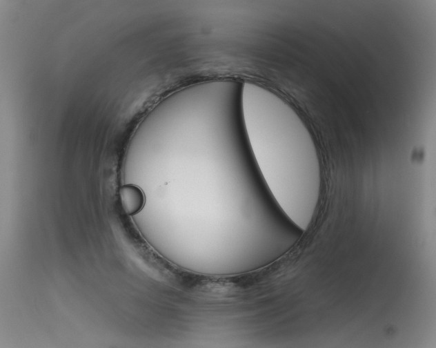 X0000115540642200911061151