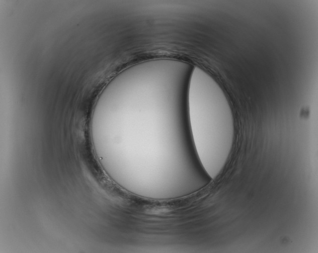 X0000115540643200911061151