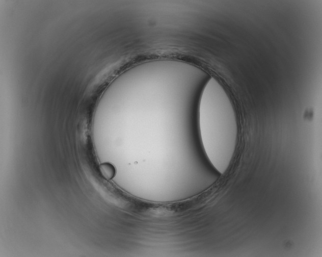 X0000115540644200911061151
