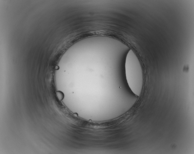 X0000115540645200911061151