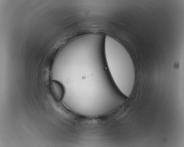 X0000115540646200911061151