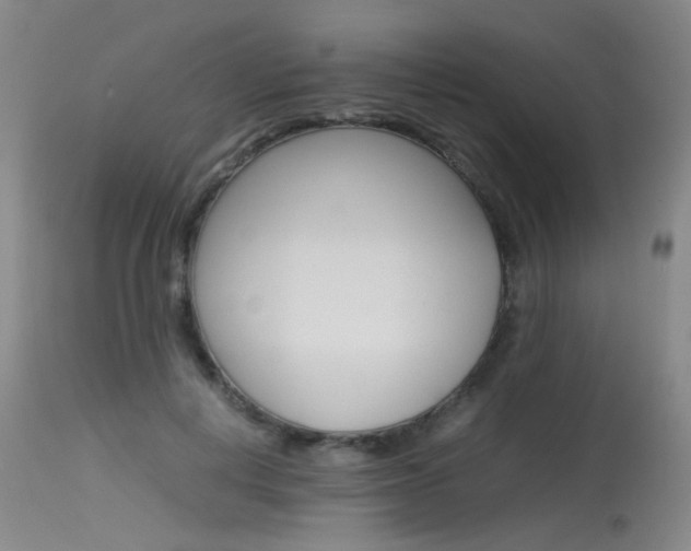 X0000115540648200911061151
