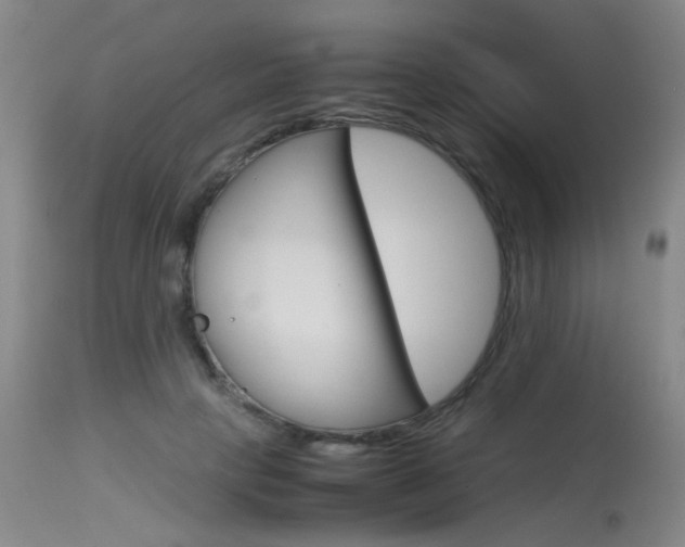 X0000115540649200911061151