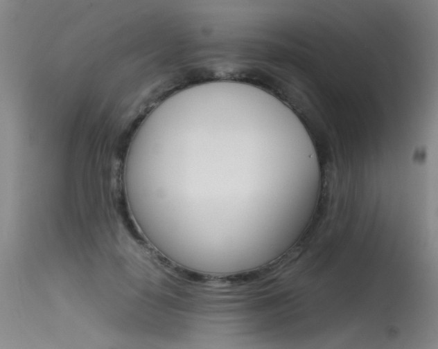 X0000115540650200911061151