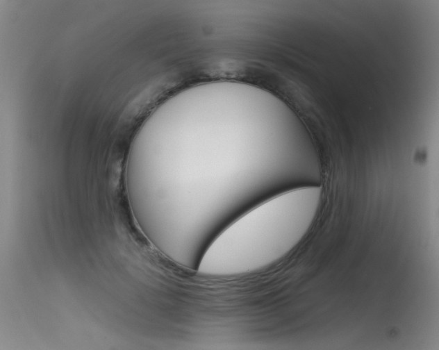 X0000115540652200911061151