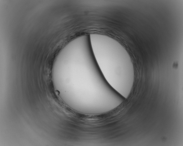 X0000115540653200911061151