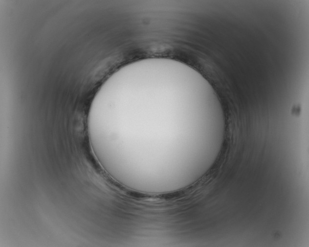 X0000115540654200911061151