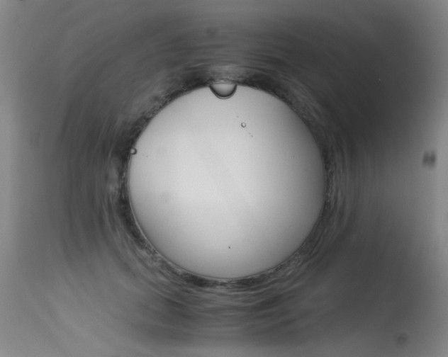 X0000115540655200911061151