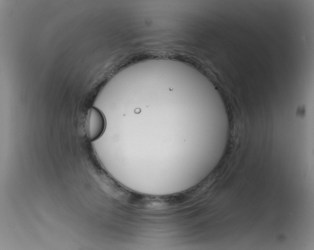 X0000115540658200911061151