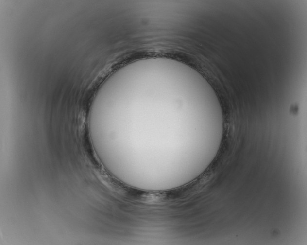 X0000115540660200911061151
