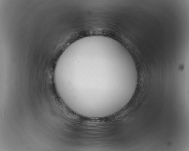 X0000115540661200911061151