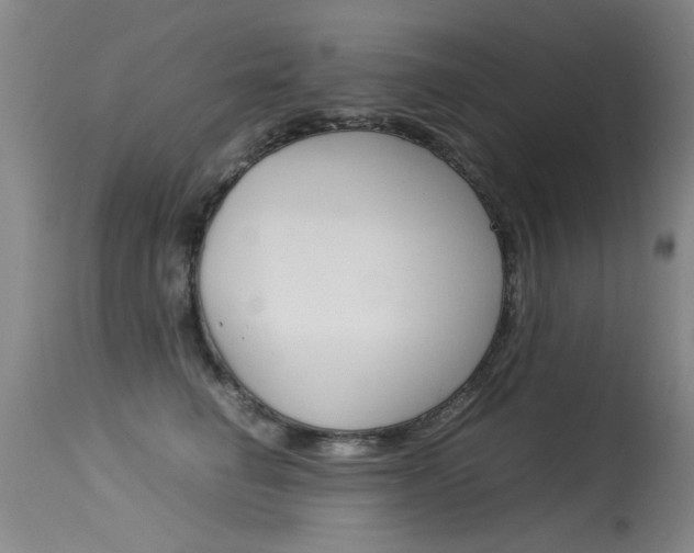 X0000115540662200911061151