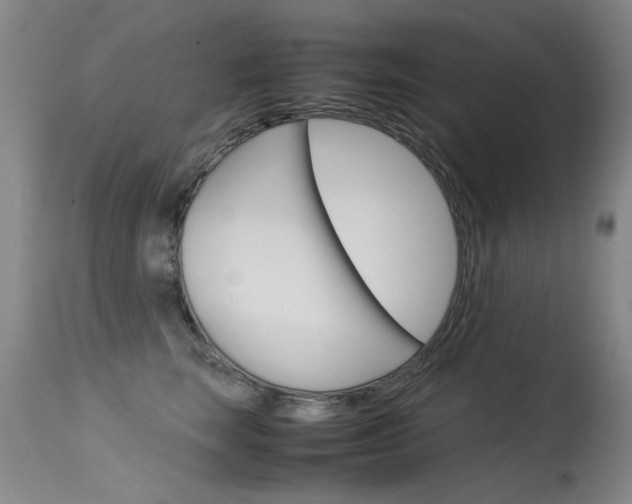 X0000115540663200911061151