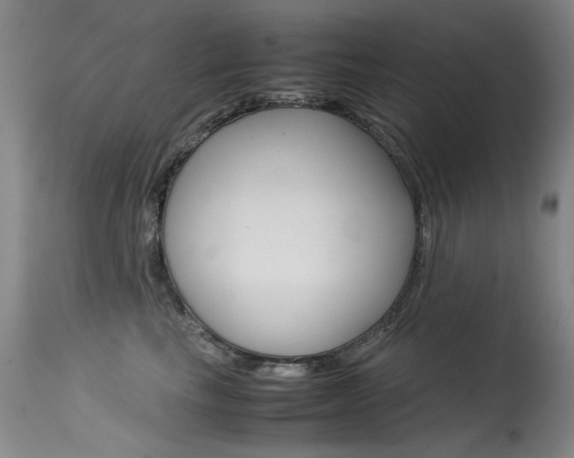 X0000115540665200911061151
