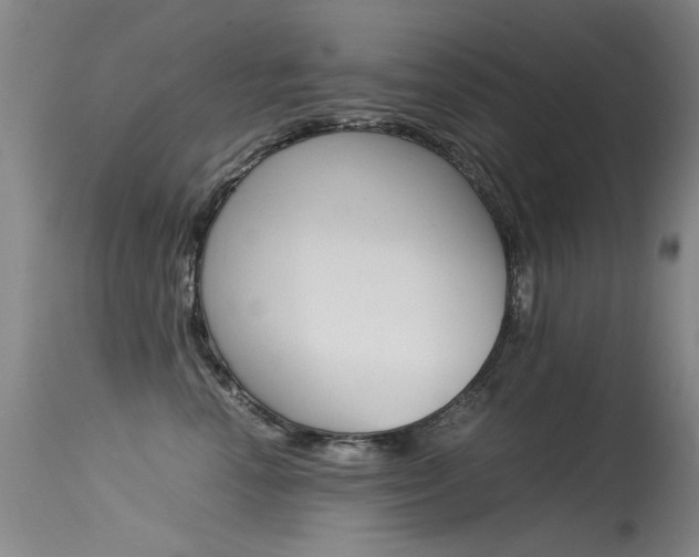 X0000115540666200911061151