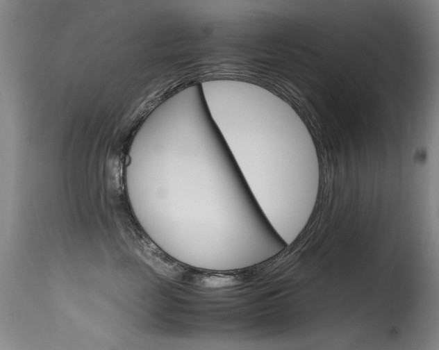 X0000115540669200911061151
