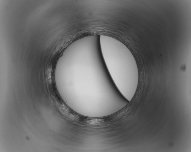 X0000115540670200911061151