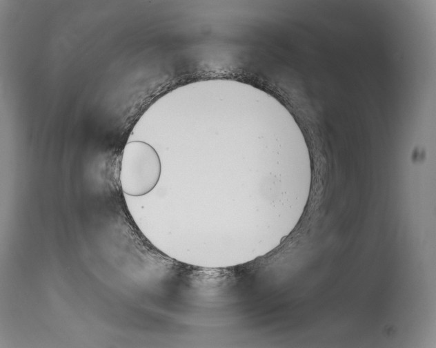 X0000115540672200911061151