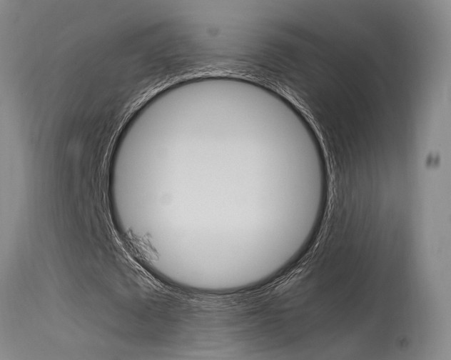 X0000115540673200911061151