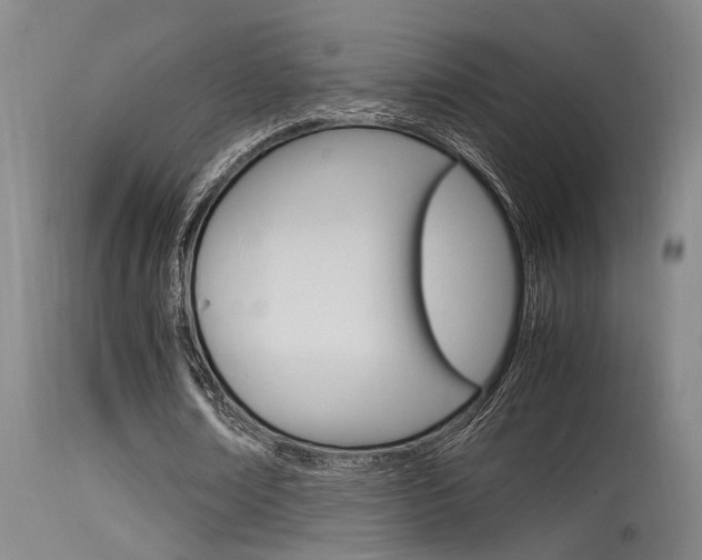 X0000115540674200911061151