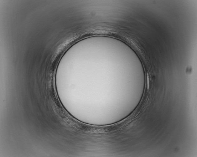 X0000115540675200911061151