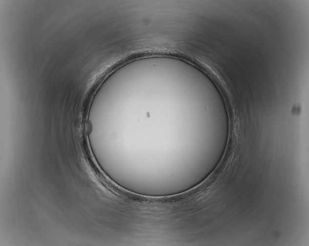X0000115540677200911061150