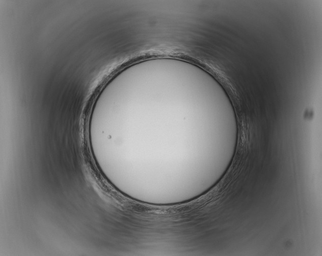 X0000115540678200911061150