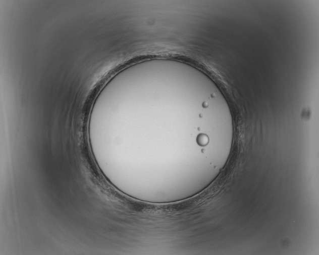 X0000115540679200911061150