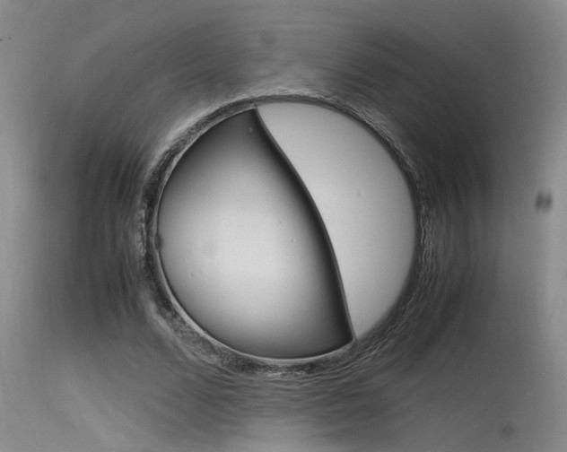 X0000115540680200911061150